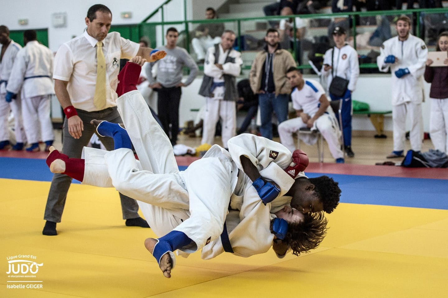 1/2 finale Jujitsu - Ligue Grand Est de Judo et Disciplines Associées